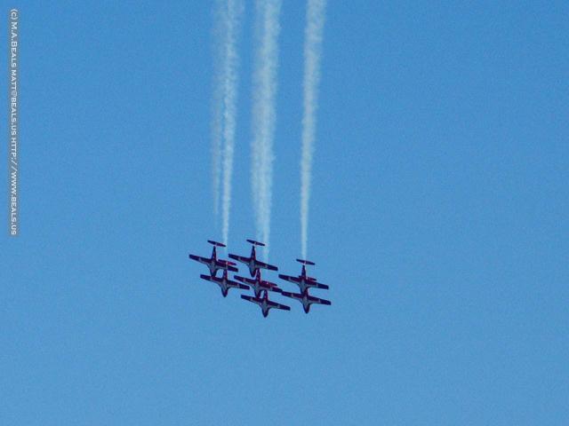 0690-Snowbirds