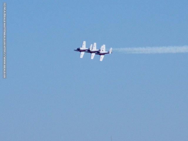0811-Snowbirds