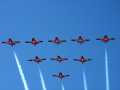 0596-Snowbirds